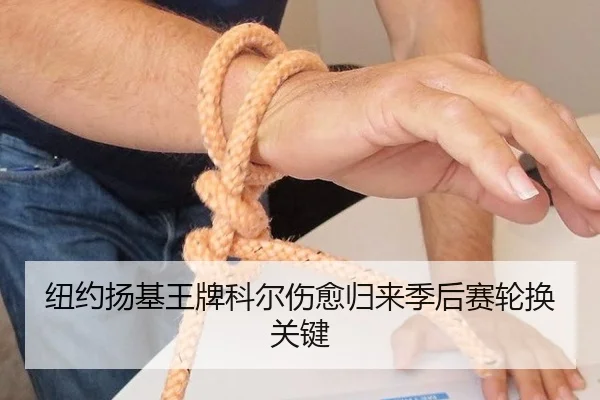 纽约扬基王牌科尔伤愈归来季后赛轮换关键