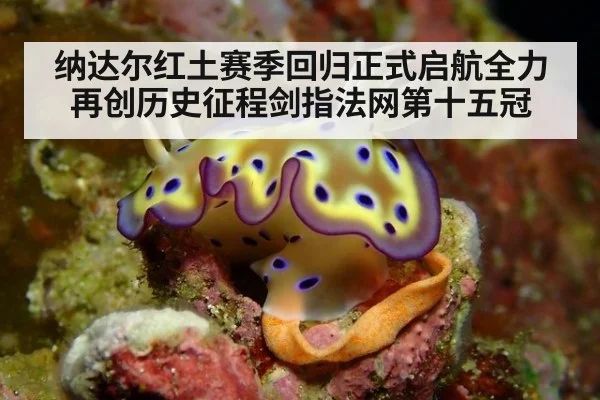 纳达尔红土赛季回归正式启航全力再创历史征程剑指法网第十五冠