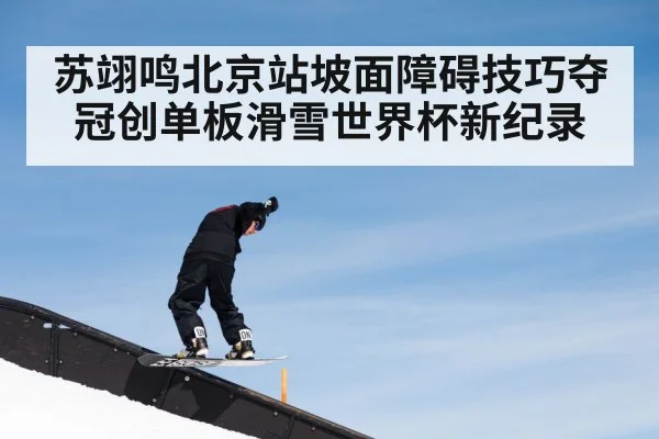 苏翊鸣北京站坡面障碍技巧夺冠创单板滑雪世界杯新纪录